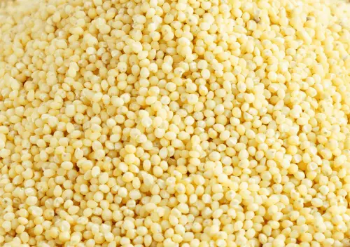 Proso Millet