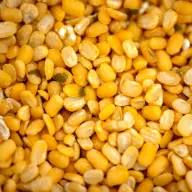 Yellow gram