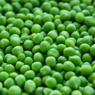 Pigeon peas