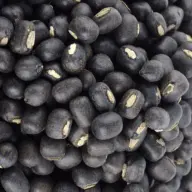 Black gram