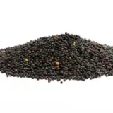 mustard seeds
